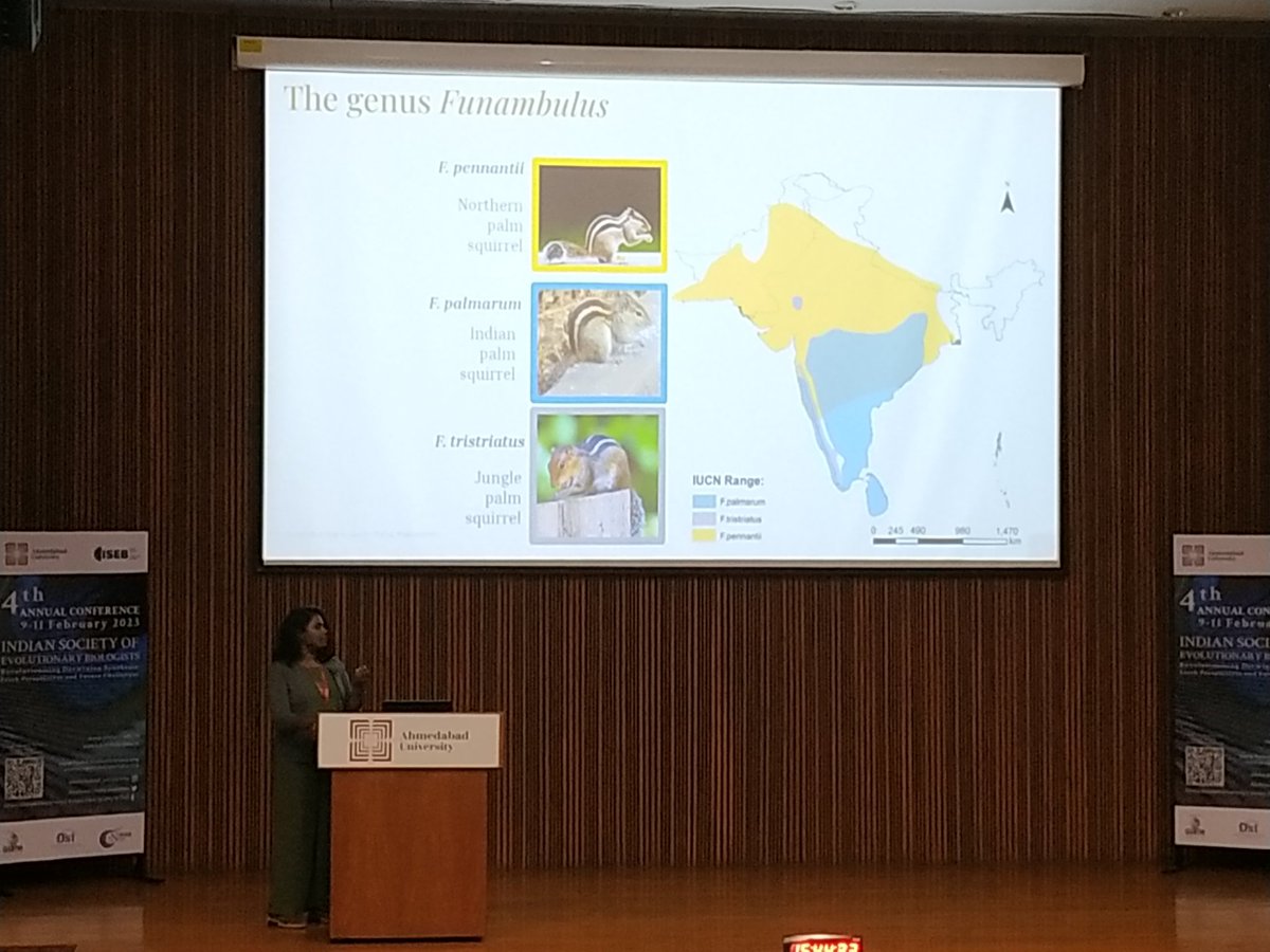 swatiudayraj's tweet photo. @ChitiArvind and @nivetha_ecoevo talk about song dialects in sholakilli and evolution of coat colouration in palm squirrels respectively at #ISEB4 @naop_ahduni_23
#WomenInScience #evolution #ecoevo @IiserTirupati https://t.co/eqH3oaisFW