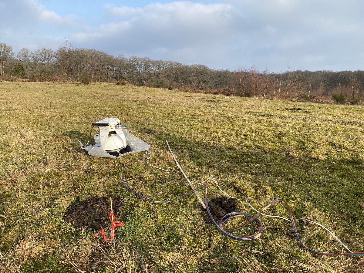 n_philipsen's tweet photo. Went dung-hunting in MolsLab, Denmark this week to initiate investigations of GHG-hotspots in rewilded landscapes as part of @wild_soil. How long does dung persist as GHG moments and what are contributions to landscape-scale soil GHG fluxes? Thx to @Ming_YYUU helping out! https://t.co/r4NFUHdLMn