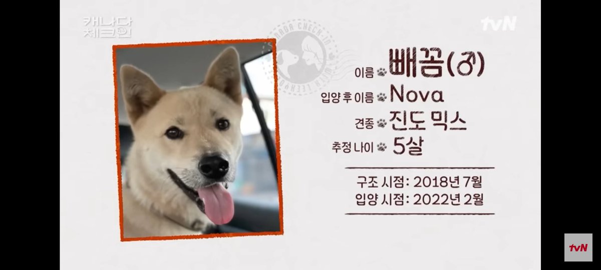 _yukimax's tweet photo. 캐나다 체크인 보면서 제일 많이 울었던 편이자 끝까지 못 봤던 편인 듯 하다. 
보자마자 영희랑 닮은 모습에 놀랬고, 영희 너무 보고싶어서 보다 울고 보다 울고 울보쟁이됌 퓨푸후휴후 
아직도 
저 편은 다 못 봤다 https://t.co/Nc4f0OQsiv