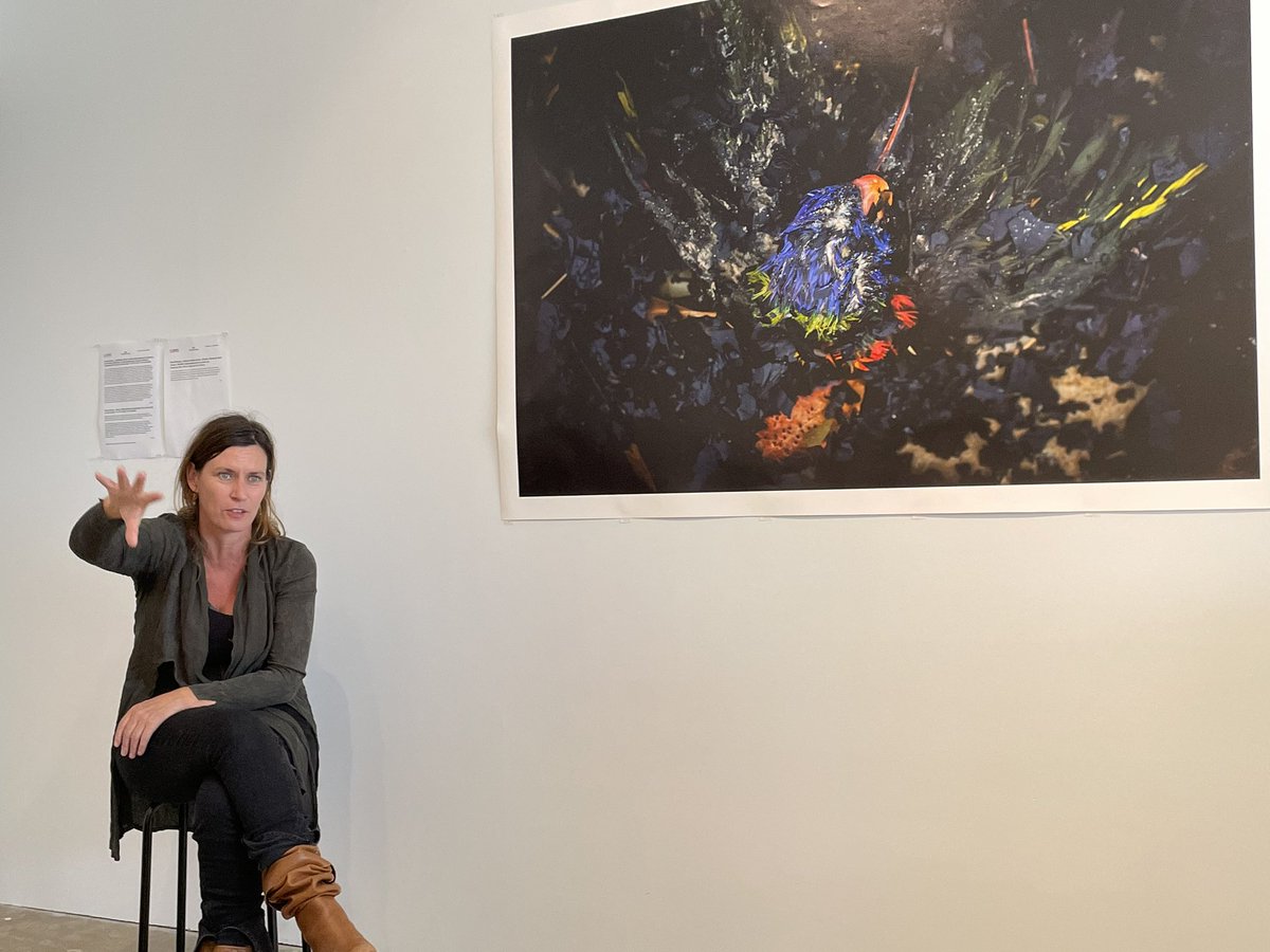 Marcus O'Donnell tweet media