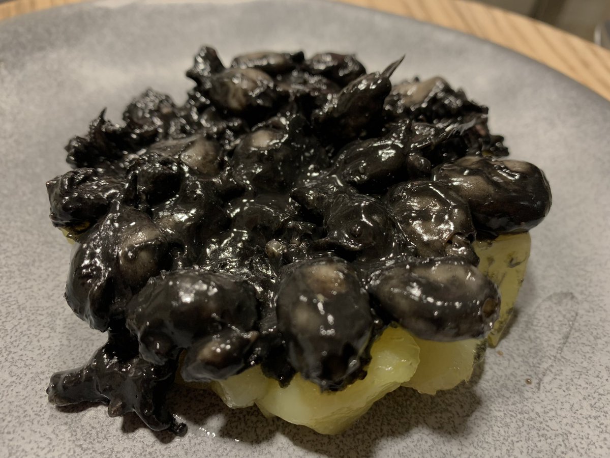 nacho_pelaez's tweet photo. Cena “marítima” y frugal con unos paracentrotus lividus (oricios en asturiano 😊), puntillitas en su tinta y un ceviche de lubina. Acompañamiento líquido, Vaguera El Maderal 2020, de #AlvardeDios , untuoso y largo, una delicia sedosa 😊 https://t.co/iekBzAXuB3