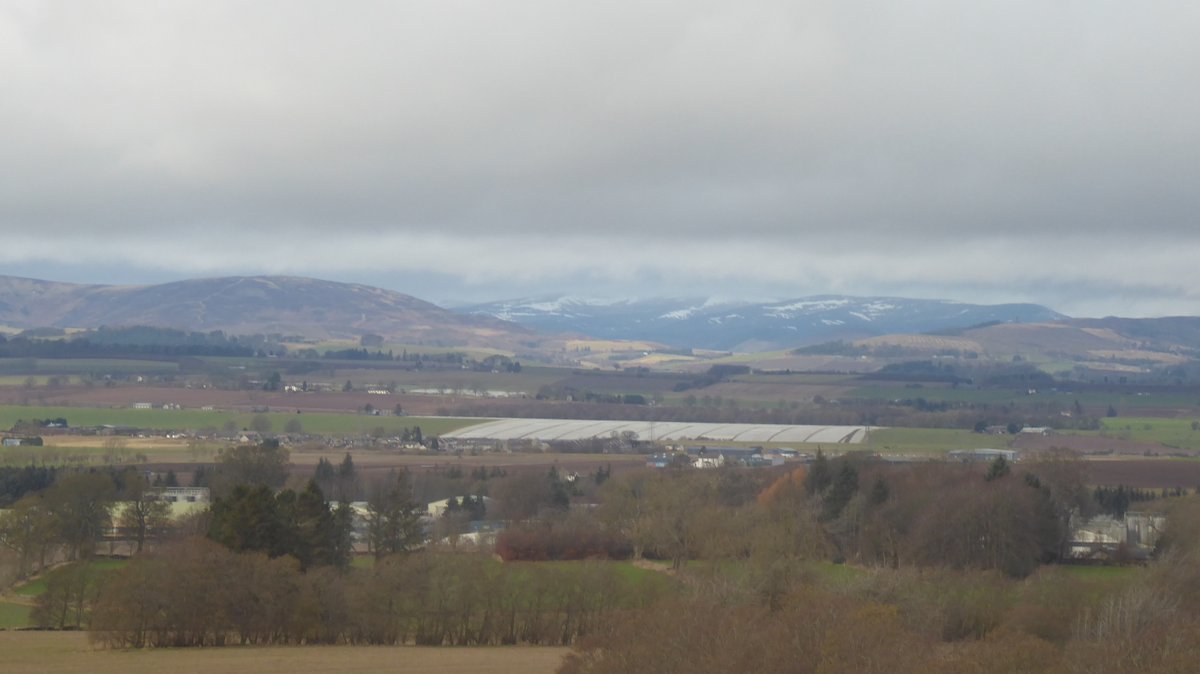 UnicornUnbound's tweet photo. The view from the 181 bus (stuck at traffic lights, btw), looking north towards Glen Clova and Glen Esk. #BusPhoto #BusPhotos #Scotland #Angus #The181Bus #SnaOnTheHills https://t.co/UAW9u04qV1