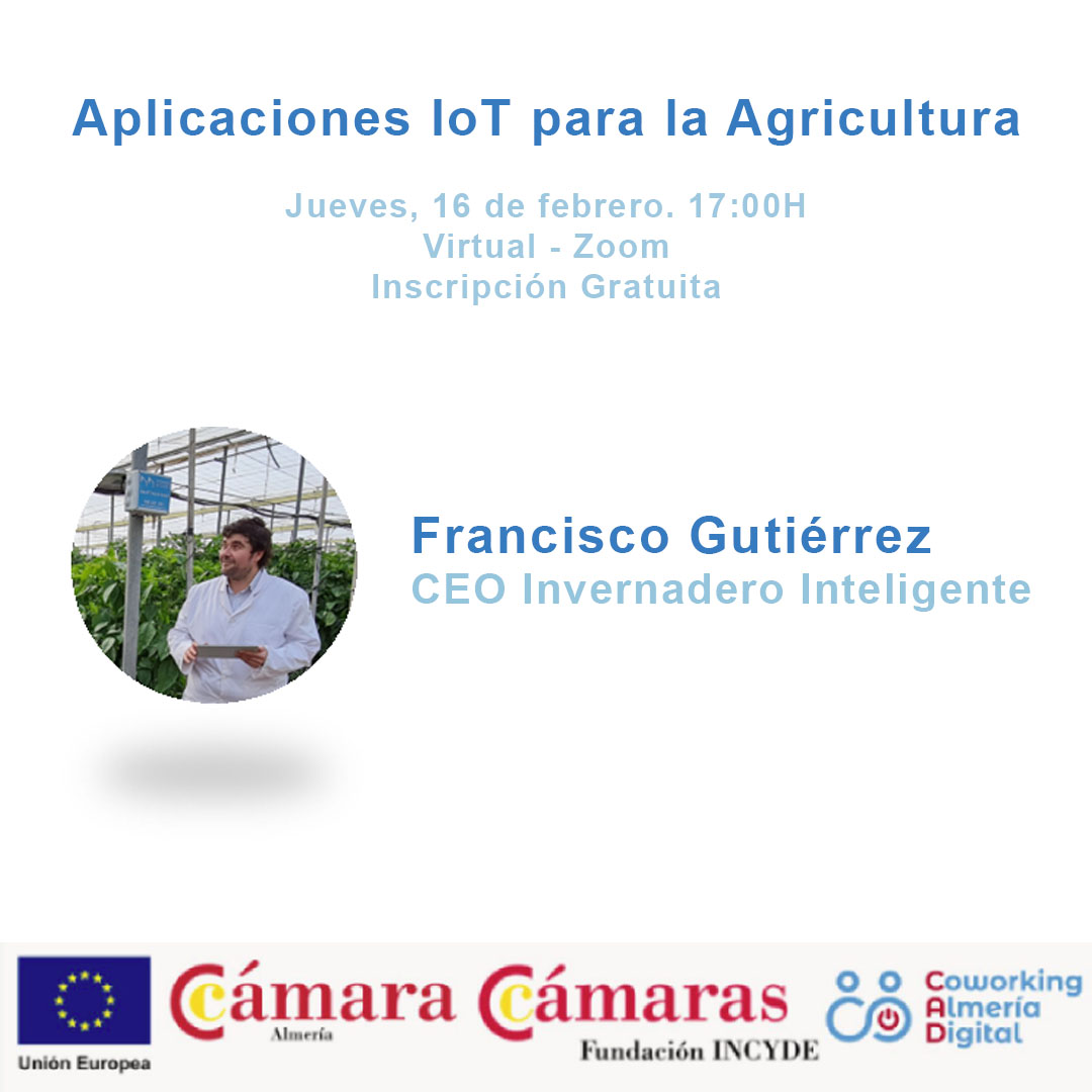 pacogutierrezm tweet media