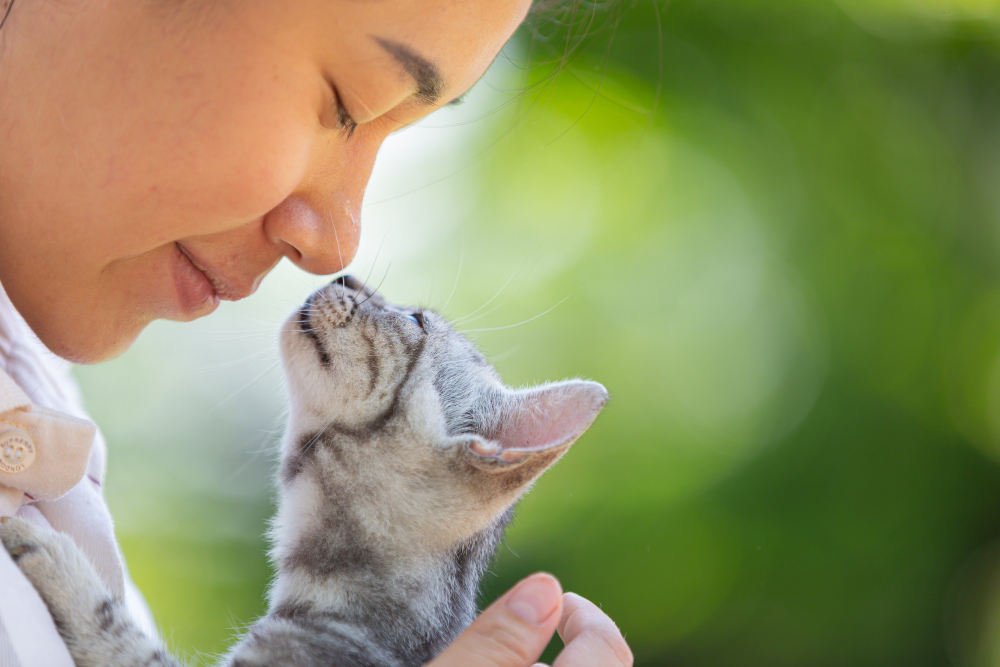 100animal100's tweet photo. Belle journée à tous. Bisous💗💗💗💗💗💗
#animal #animals #animaux #dog #chien #dogs #cats #cat #chat https://t.co/CMuHmp5zhM
