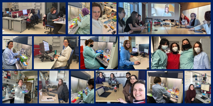 Today we celebrate #InternationalDayofWomenandGirlsinScience  
To promote diversity in science, in Anderson's team we wanted to illustrate #WhatAScientistLooksLike and showcase some of the different roles we #WomenInScience undertake
You can read more at andersonlab.info/blog