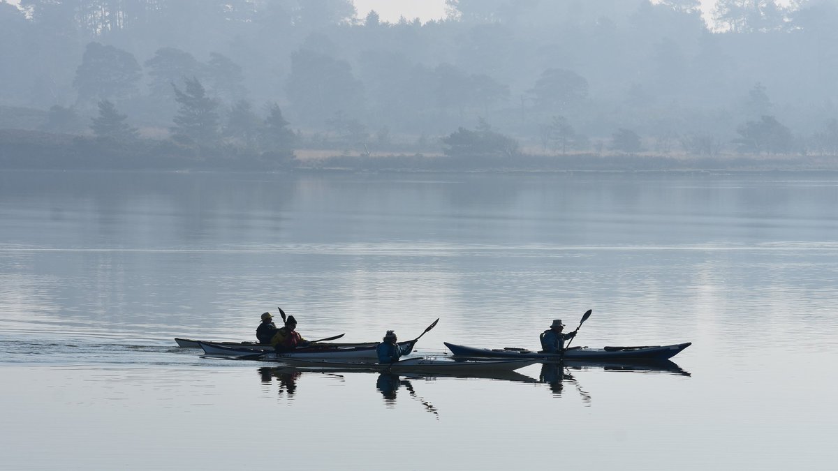 Kayaking in the mist
#SaturdayVibes 
#Kayak