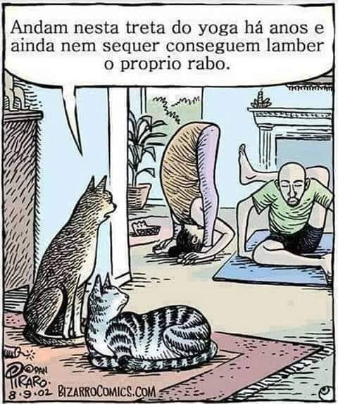 ZorGabor's tweet photo. https://t.co/LtLhpyW0RU
