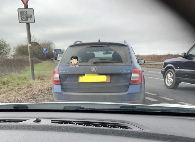 Wiltshire Specials tweet media