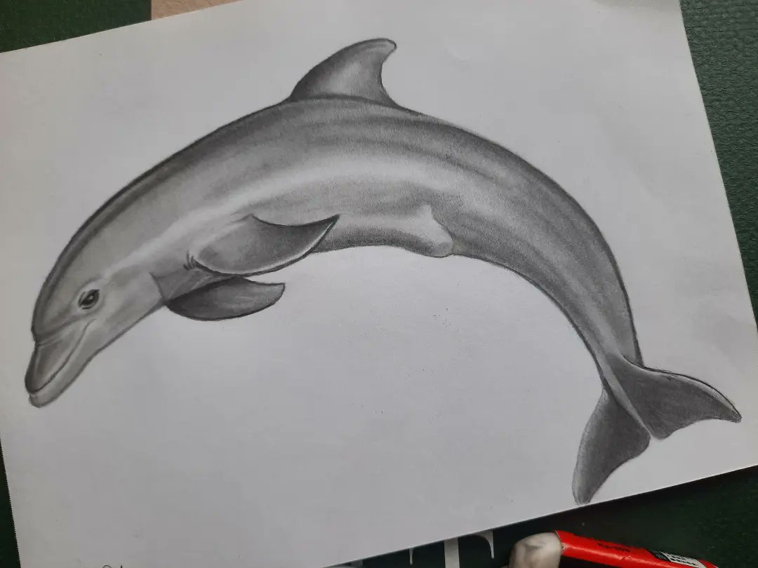 LuiseEmma's tweet photo. Finished the Dolphin 🐬✏️ drawing
Have a wonderful weekend
#drawing #pencilart #pencil #pencilsketch #artwork #twitterdraw https://t.co/EleWpOfur6