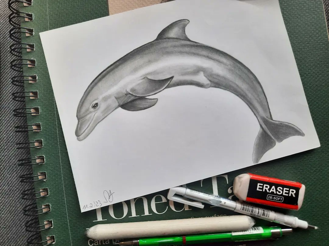 LuiseEmma's tweet photo. Finished the Dolphin 🐬✏️ drawing
Have a wonderful weekend
#drawing #pencilart #pencil #pencilsketch #artwork #twitterdraw https://t.co/EleWpOfur6
