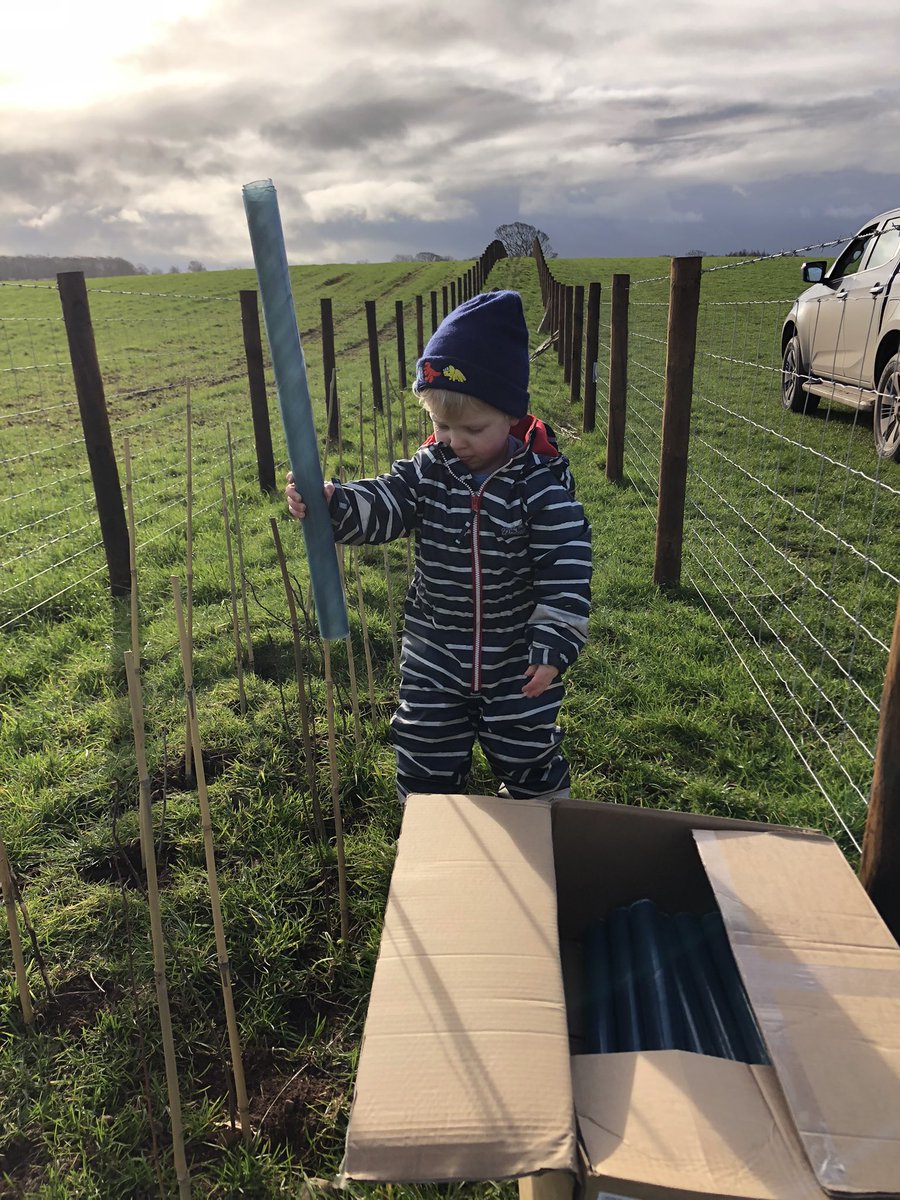 Craig Brough tweet media