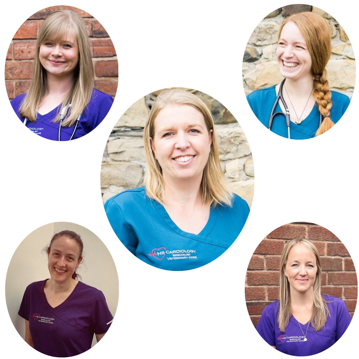 🎉🎉 Celebrating today, &amp; every day, the wonderful, inspiring women in our team, the wider veterinary community &amp; those that came before us. 🎉🎉

We continue to Innovative. Demonstrate. Elevate. Advance. I.D.E.A.

#IDWGS #womeninscience #girlsinscience #vetcardio #HSCardiology