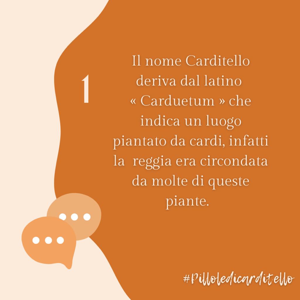 Phoenix_league_'s tweet photo. Pensavate ci fossimo dimenticati? e invece NO. Ci scusiamo per il giorno di ritardo, godetevi questa nostra terza pillola del “Phoenix League” ✅💊
Restate attivi per nuove curiosità! 🗓️ #asoc2223 #asoc #campania #PhoenixLeagueTeam #PillolediCarditello https://t.co/W9qVKzaGYI