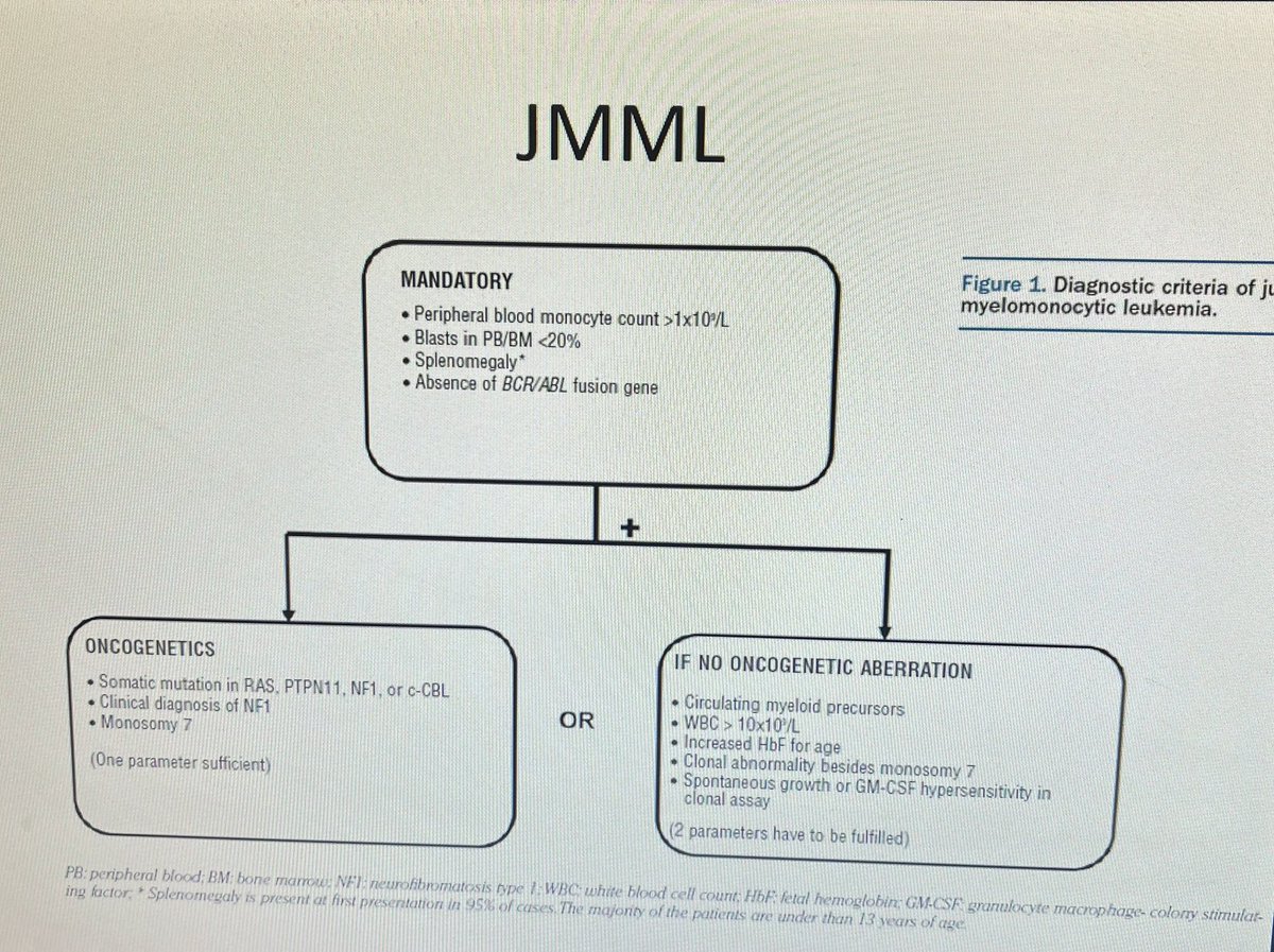 Satyayadav__'s tweet image. Juvenile myelo monocytic leukemia #JMML is very diagnosis 

Always suspect in any kid who has big spleen and you suspect acute leukemia but blasts are &amp;lt;20% and BCR-ABL is negative and monocytosis present 

It’s important to know diagnostic criteria 👇