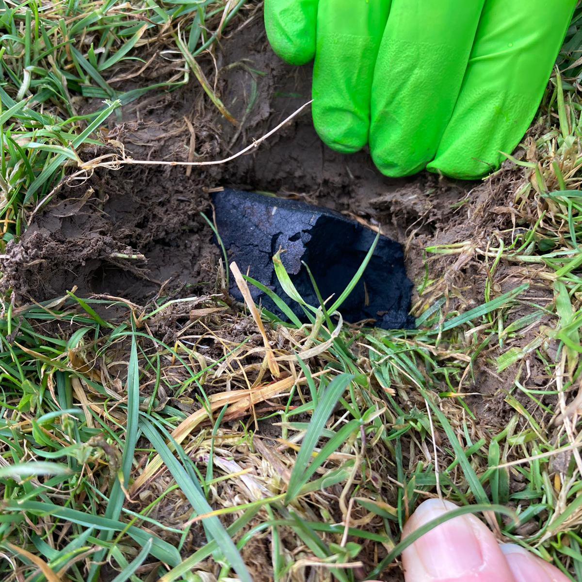 University of Glasgow tweet media