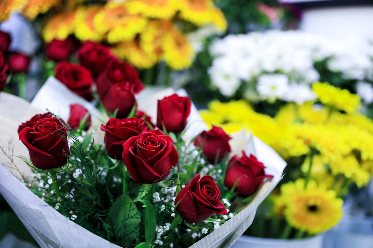 TheStyleVersa's tweet photo. 5 Best Valentine's Day Flowers To Buy Now!
https://t.co/ni8S2suVvS
#TheStyleVersa #us #uk #au #valentines #flowers #valentinessale #valentinesday2023 #valentines2023 #valentinesflowers #ValentinesDayGifts https://t.co/tW0QemLa5s