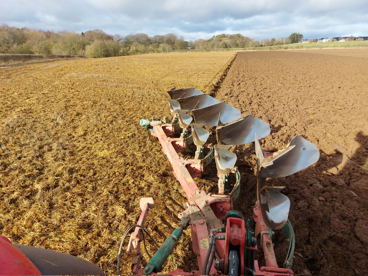 NorrieRobin's tweet image. It may well be "fools spring" but I'll take it! 
#foolsspring