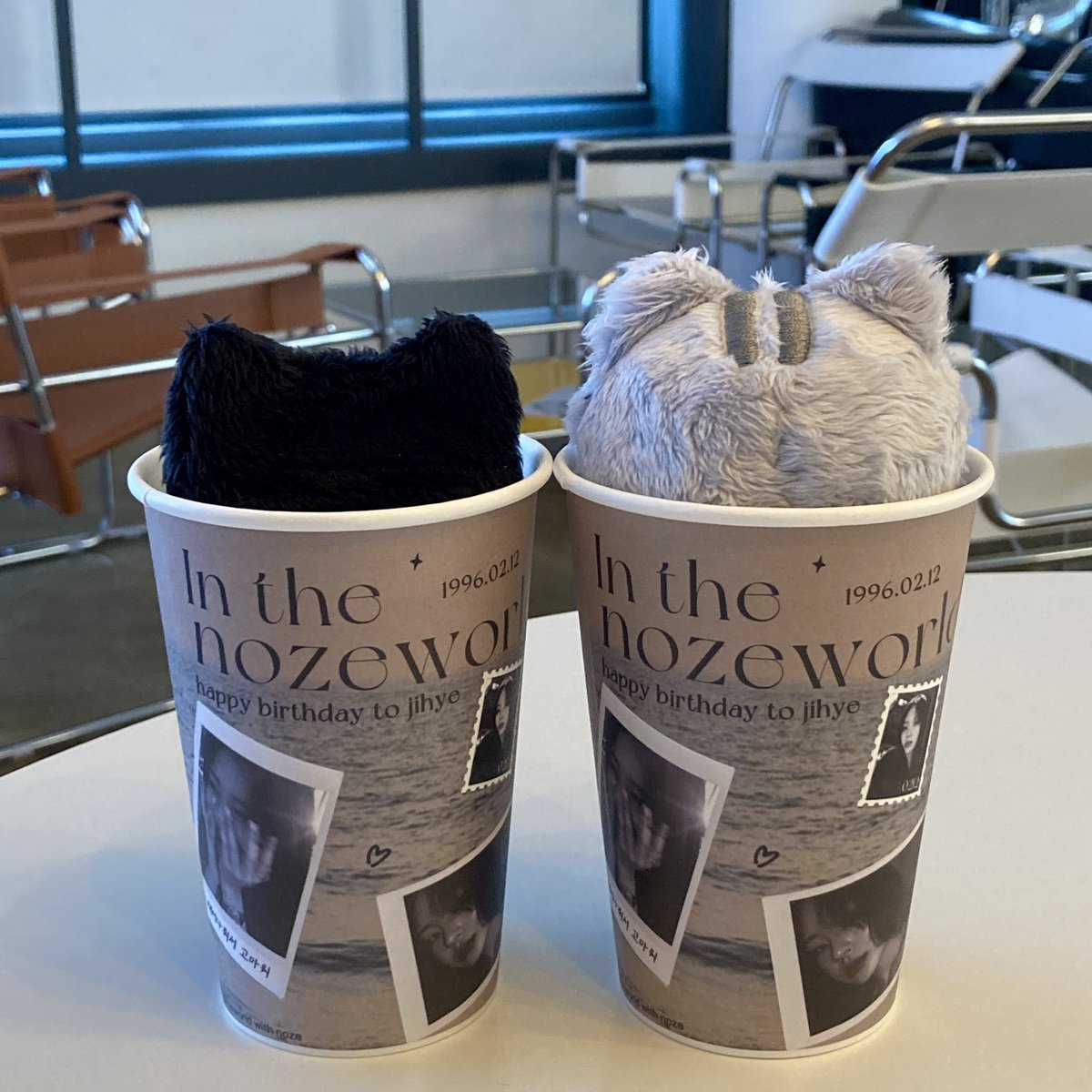 #forever_in_the_nozeworld