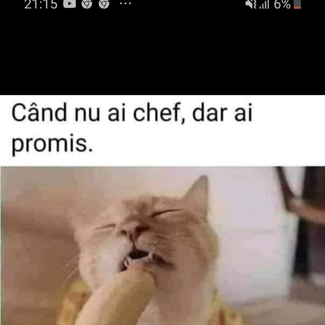Loli19892's tweet photo. #FotografieDeProfilNouă https://t.co/GOcErIUNFH