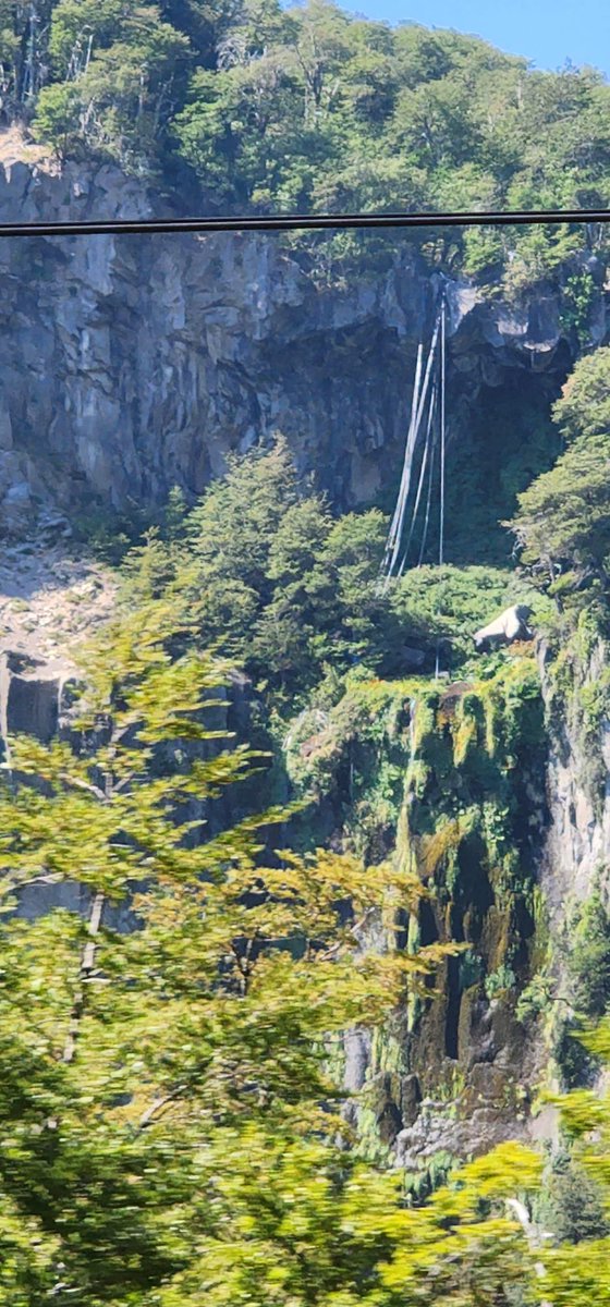 RenzoVaccarezza tweet picture