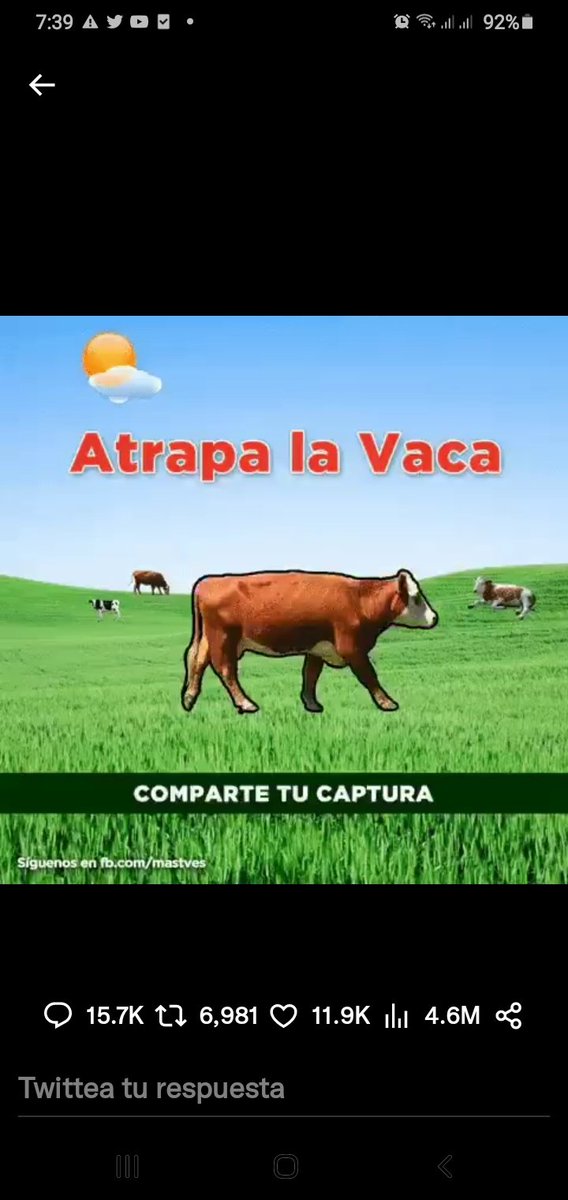 williamjosesa10's tweet photo. Pa que sean serio y se acomoden https://t.co/WsiAZq7sWb