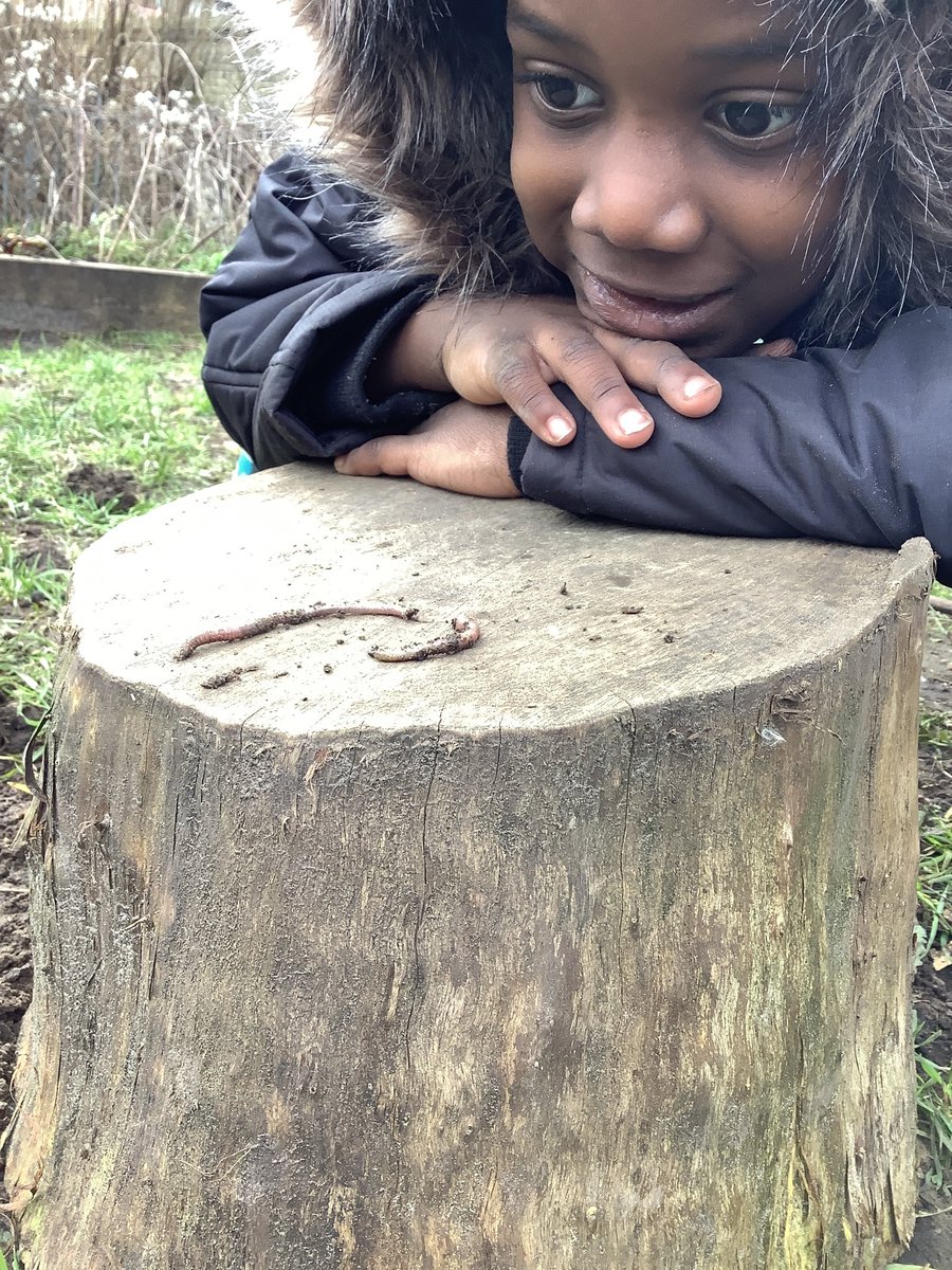 With Spring on its way, <a href="/DkhForest/">DKH Forest School</a> is starting to bloom. The children have been exploring as always. Take a look at some of the exciting Forest School moments the children have experienced this February.

Find out more: bit.ly/40PsVKU