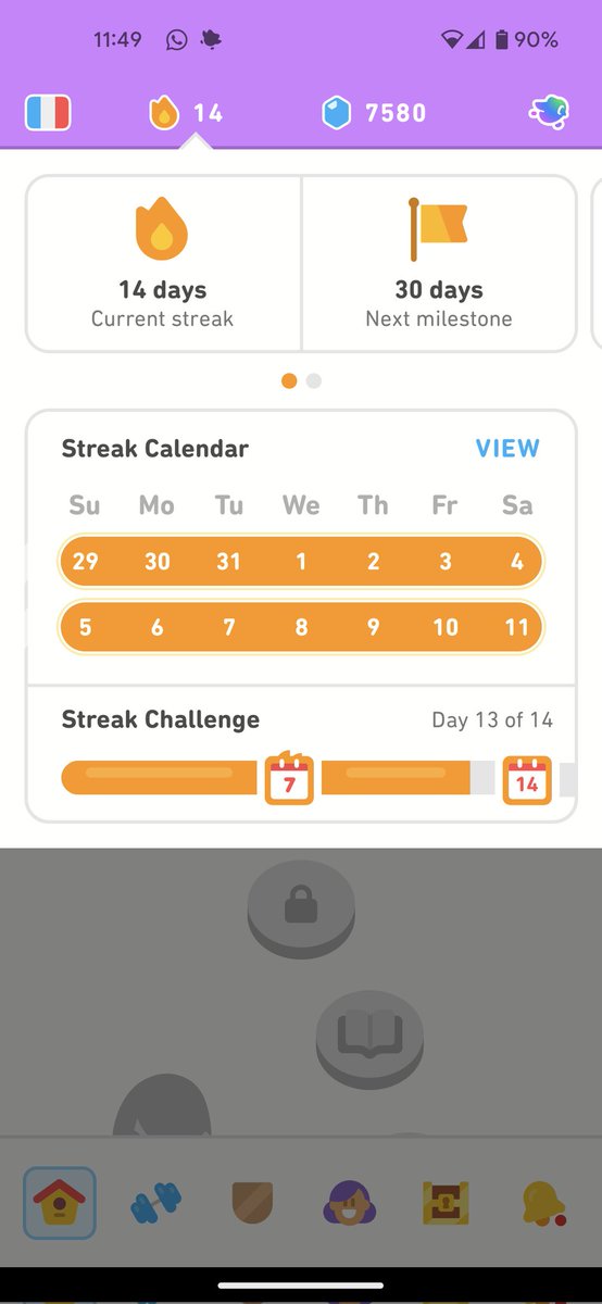 sauntimo's tweet photo. @duolingo what's up with the steak calendar and the steak challenge not agreeing how long my steak is? https://t.co/XDP0N9RyOY