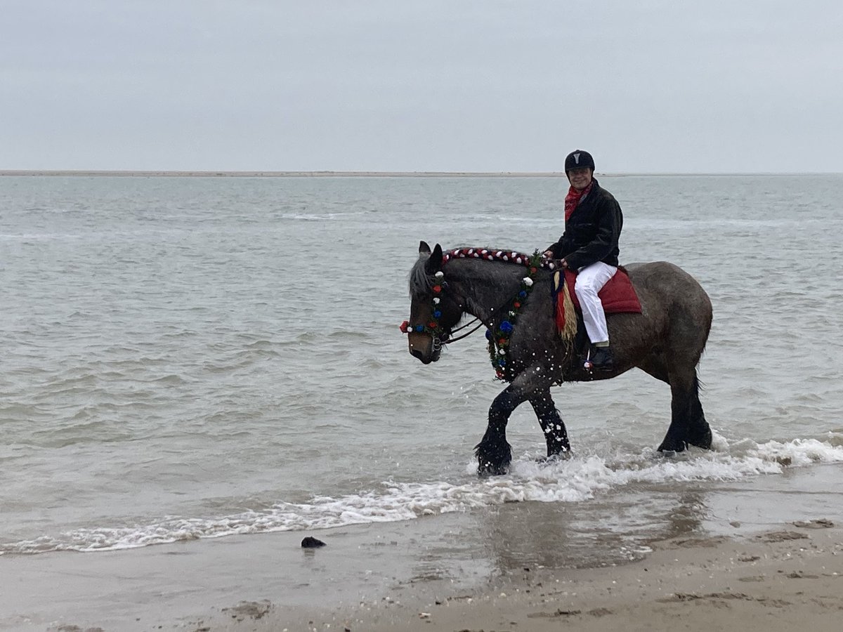 #straoRenesse2023 Top Burgemeester! @JackvanderHoek