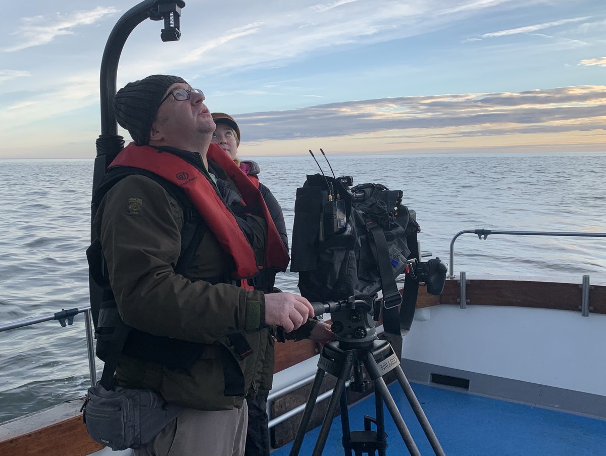 YorkshireCoastNature tweet media