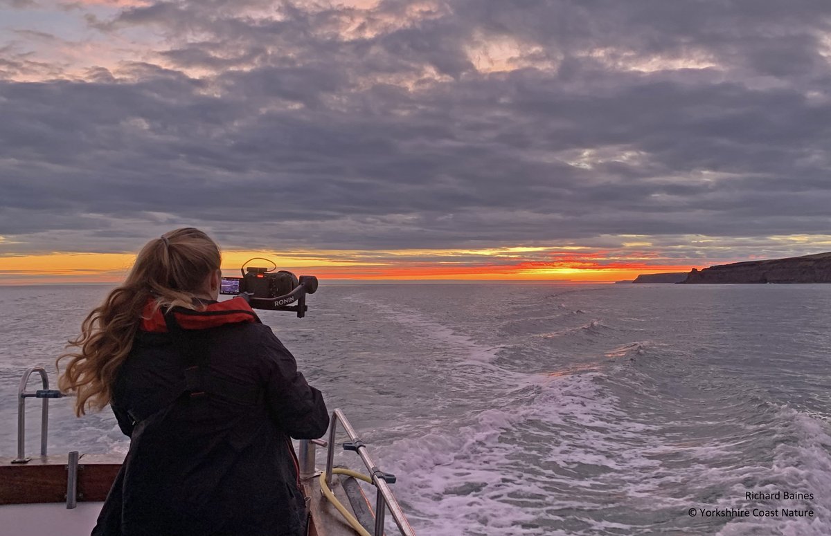 YorkshireCoastNature tweet media