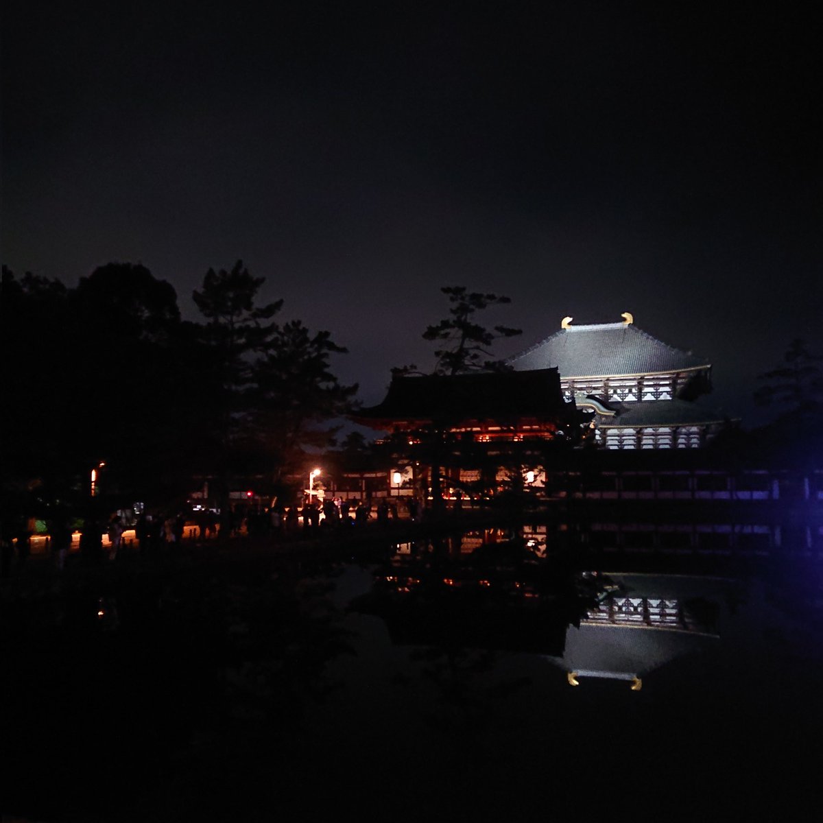 nine_slave's tweet photo. なら瑠璃絵行ってきました。
今夜は気温も低すぎず、天気もよくて好ロケーションでした♪ https://t.co/GdoEHAfJ6O