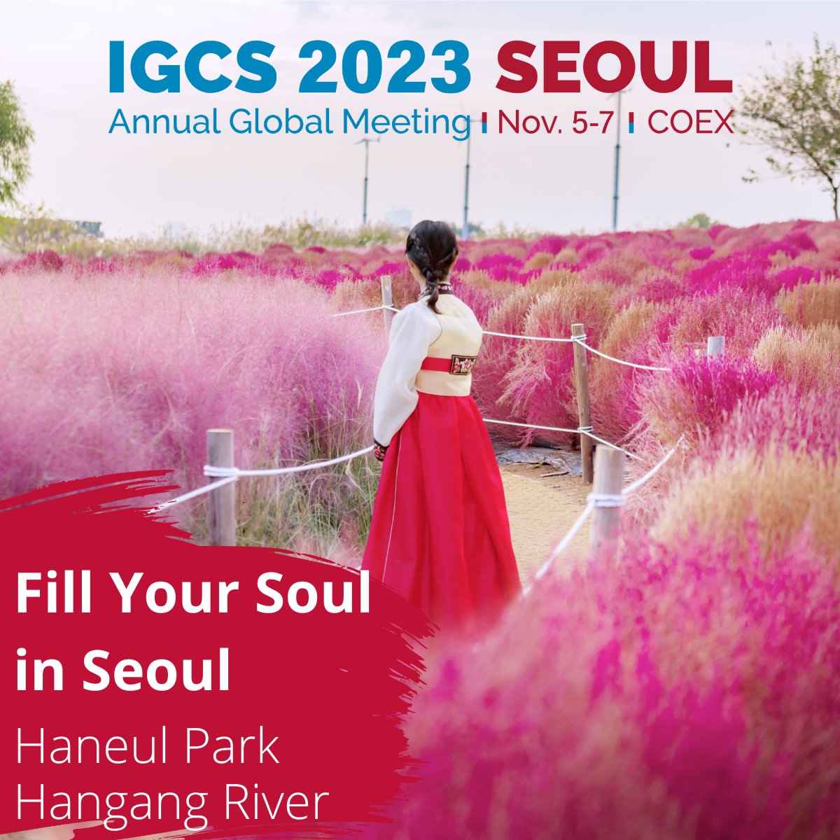 Fill Your Soul in Seoul at #IGCS2023! 

Haneul is the Korean word for “sky.” This is a famous place for the fields of tall pampas grass, sunset views, and night views of Seoul.

igcsmeeting.com

Reminder: Abstract submission is open!