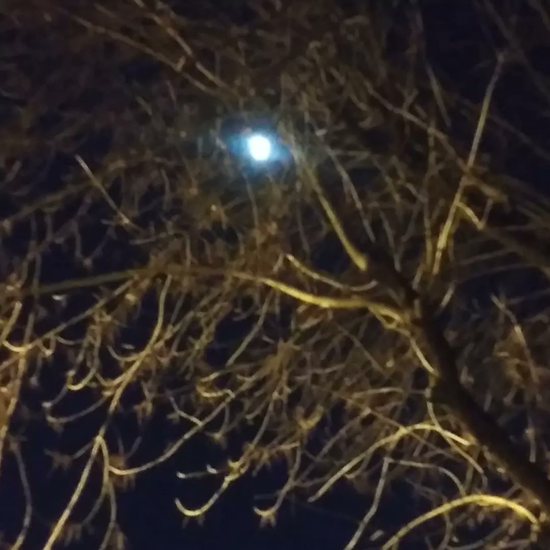 cl_nader's tweet photo. Don't give me diamonds
You can keep the gold
Just give me frosted blades of grass under moonlight
To feed my soul
💙🌬🌔❄💙 https://t.co/fVUmmlg8Db