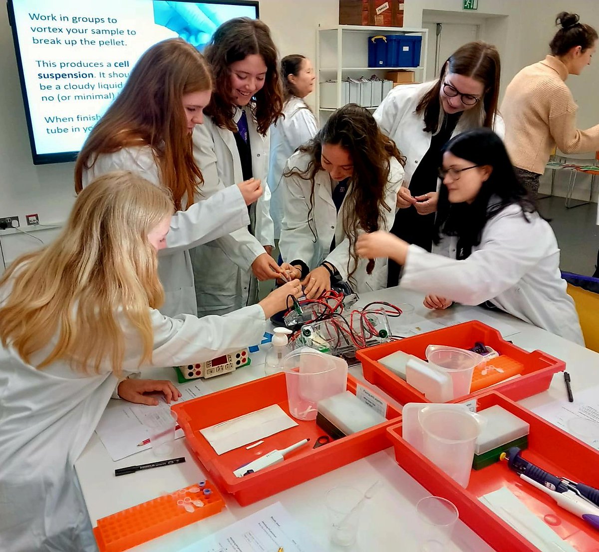 Happy International Day of Women and Girls in Science.💜👩‍🔬🧬
#IDWGS2023