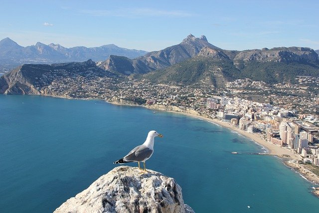 Alicante is one of the most famous and fun tourist destinations in Spain. We’ve picked out some of the most important attractions in Alicante that you shouldn’t skip during your stay.
travelkd.com/attractions-in…

#travelkd #spaintravel #alicante #alicantespain #alicantetour