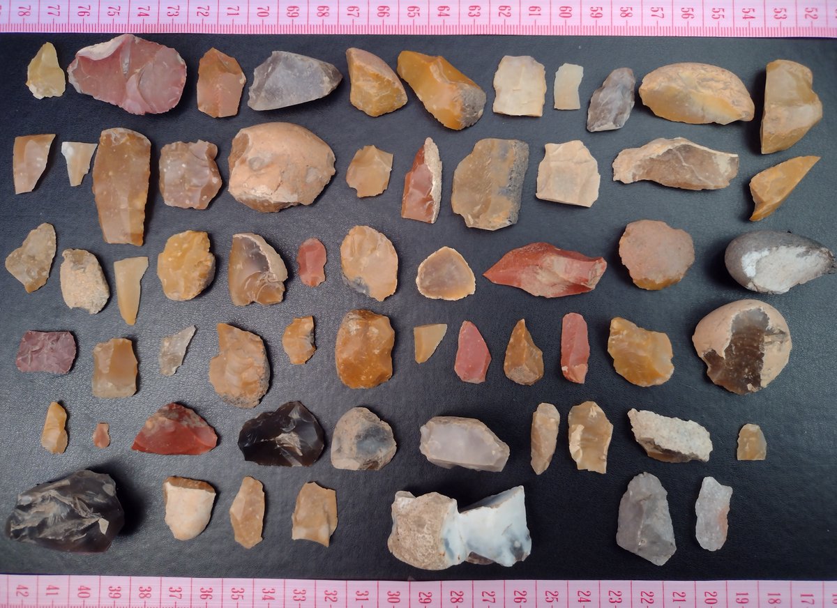 Mesolithic Deeside tweet media