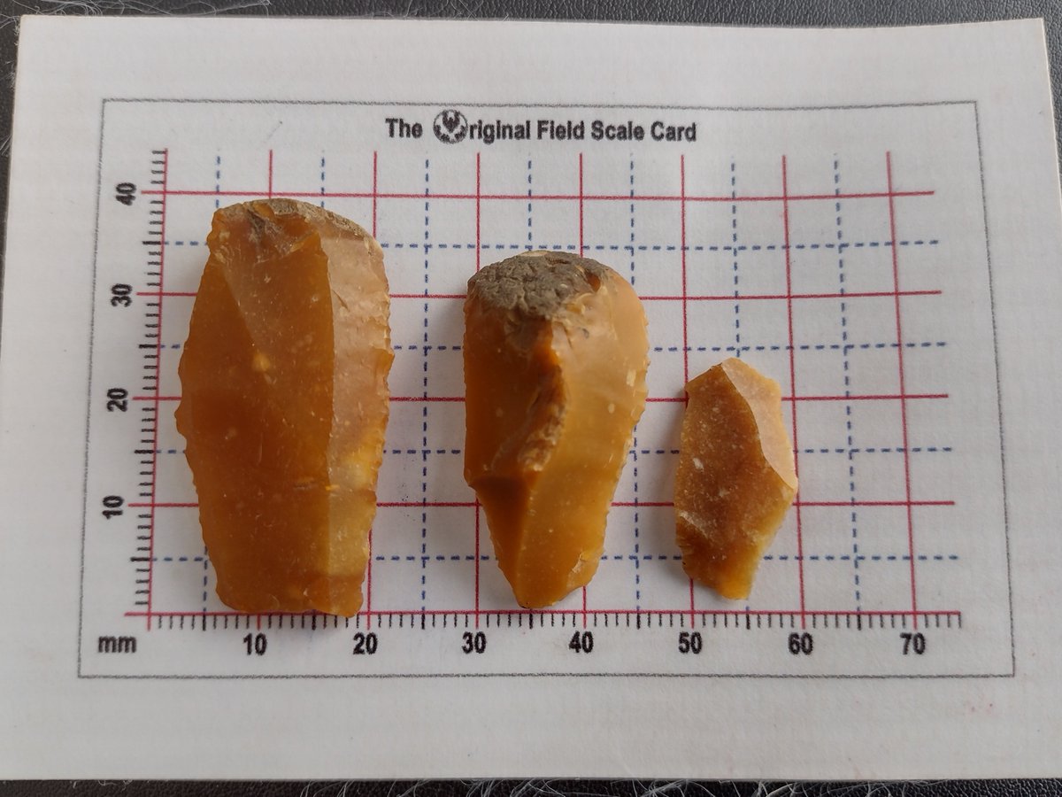 Mesolithic Deeside tweet media