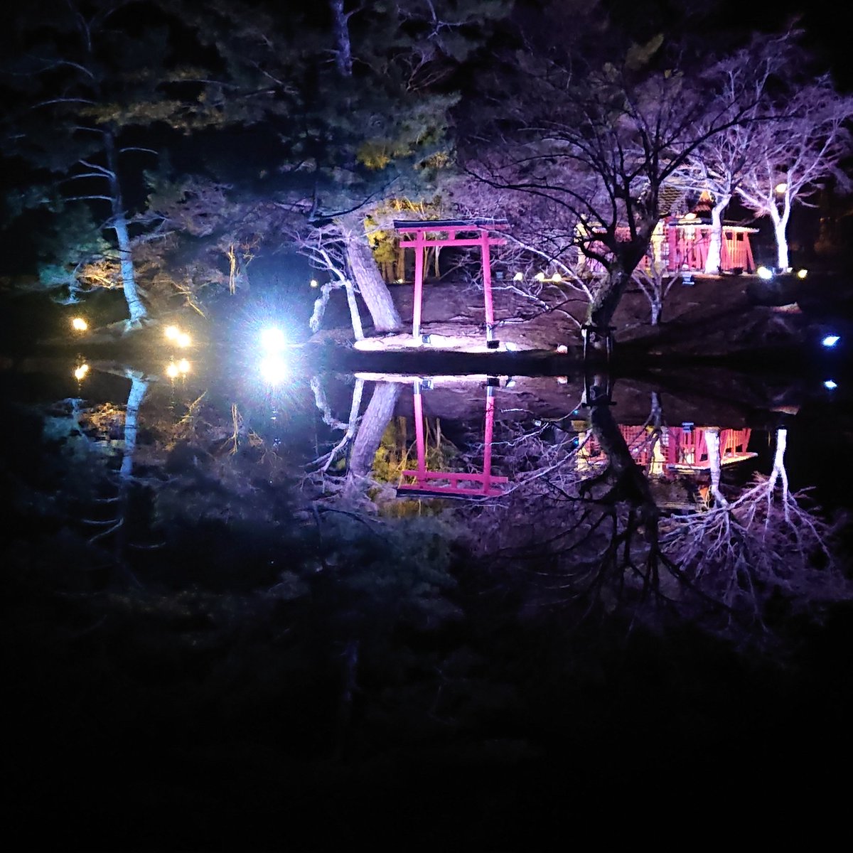 nine_slave's tweet photo. なら瑠璃絵行ってきました。
今夜は気温も低すぎず、天気もよくて好ロケーションでした♪ https://t.co/GdoEHAfJ6O