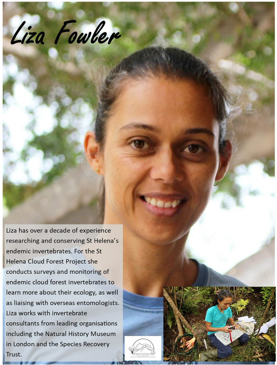 StHelenaPeaksNP's tweet photo. On this #WomeninScience Day we're celebrating awesome women on the #StHelena #cloudforestproject. From fern micro-propagation to invertebrate monitoring to wide-ranging research, women are leading the way! 

https://t.co/pTlv5a1YZ1 

#February11 #IDEA @WomenScienceDay https://t.co/Z3h9jsZL7x