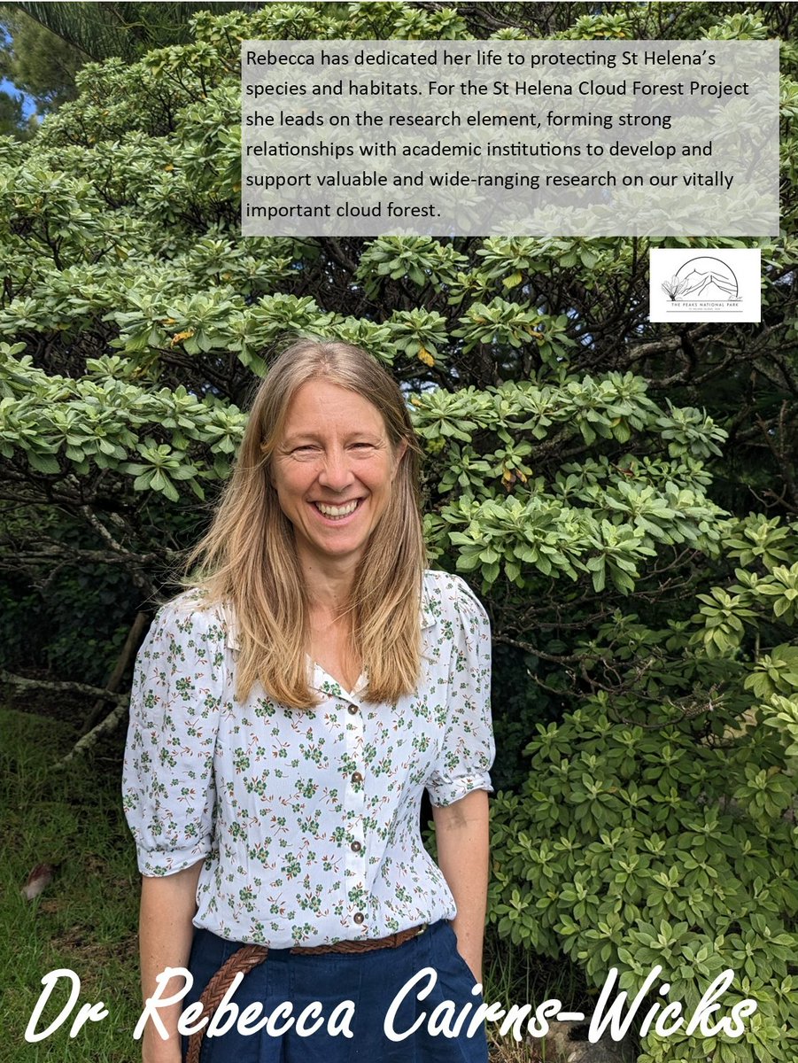 StHelenaPeaksNP's tweet photo. On this #WomeninScience Day we're celebrating awesome women on the #StHelena #cloudforestproject. From fern micro-propagation to invertebrate monitoring to wide-ranging research, women are leading the way! 

https://t.co/pTlv5a1YZ1 

#February11 #IDEA @WomenScienceDay https://t.co/Z3h9jsZL7x