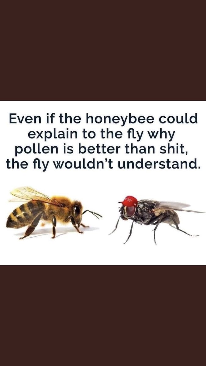 echilds4's tweet photo. @SarahHuckabee Jack ass🖕🏻 https://t.co/KZ482X6QMk