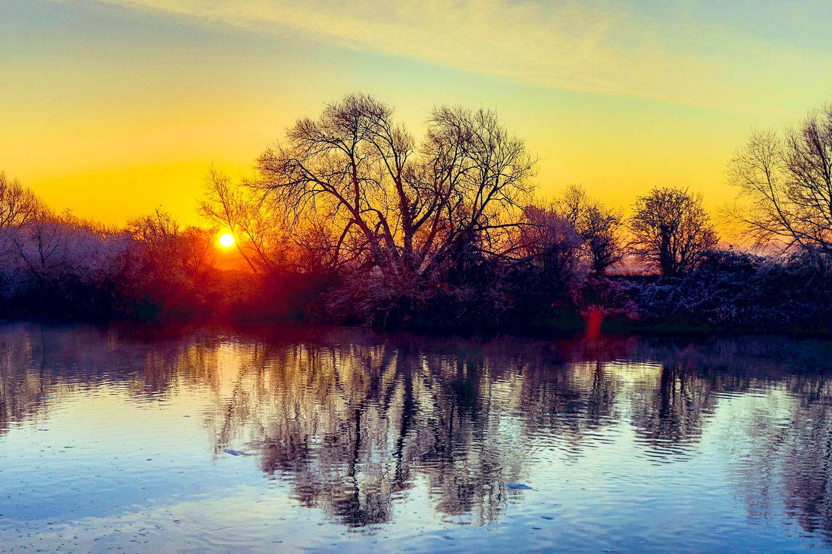 Manik Arora tweet media