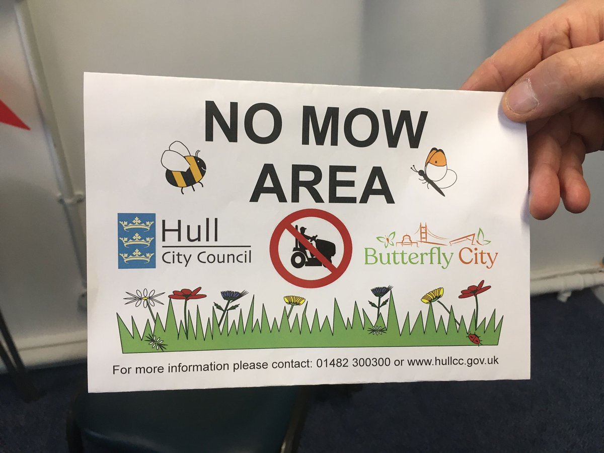 SpurnAndyG's tweet photo. Was told today these will start going up in Hull. Great news and look forward to hear the annual management planned for the areas. #progress @ButterflyCity1 @Hullccnews https://t.co/BxiQWCUFKj