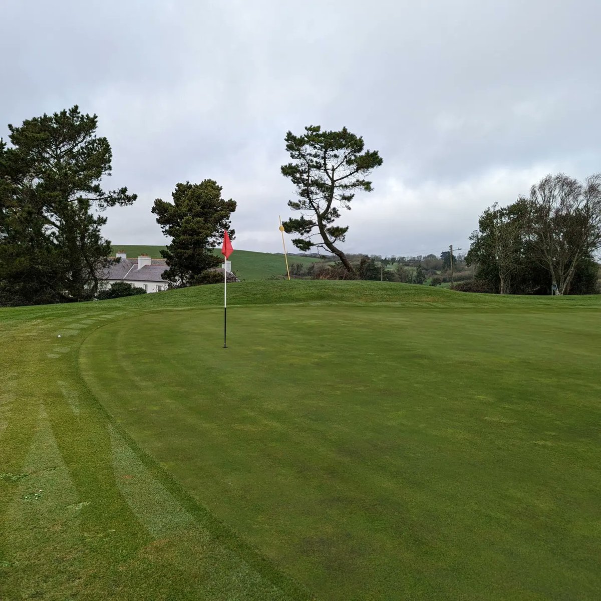 Youghal Golf Club tweet media