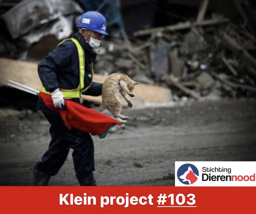 Stichting Dierennood tweet media