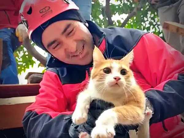 Stichting Dierennood tweet media