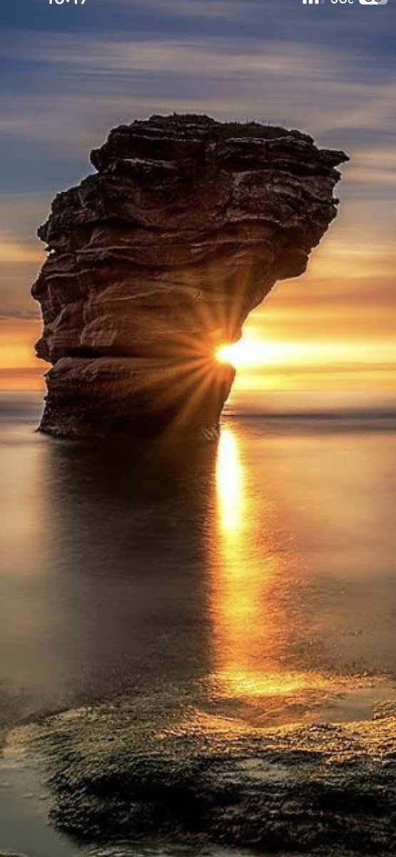 Victor80105084's tweet photo. @GinaJardines @HajduKatalin5 @____Bianka____ @FLOWI112 @AsltanataZri9i @zahrat_lotas @aliengumshoe @KmalRaby @AnanpornApple @ANAGARC01857906 @jacob_aarseth @ahmed_M_B_ @ivymarina1 @TheEndOfJAPAN1 @OcakAyhan @Nazish__Says @esterDmar @AlmsryhAhlam @nbboop13 @SSay029 https://t.co/NLSihDbkxr