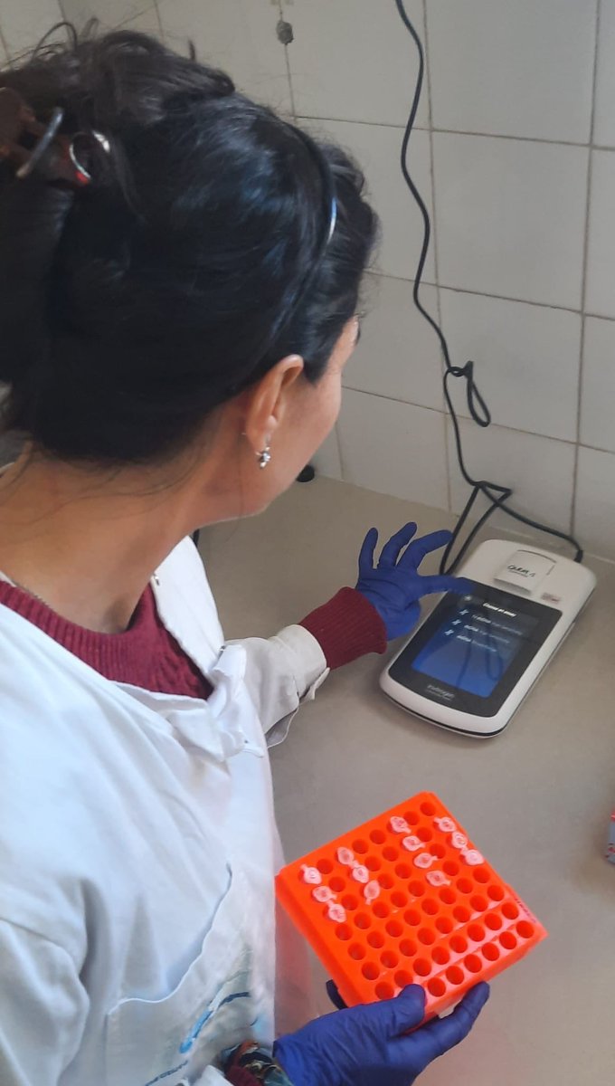 ¡Cuantificando AN! <a href="/investigauy/">Investiga uy</a> #mujeresinvestiga 

#11F #DiaDeLaMujerYLaNiñaEnLaCiencia