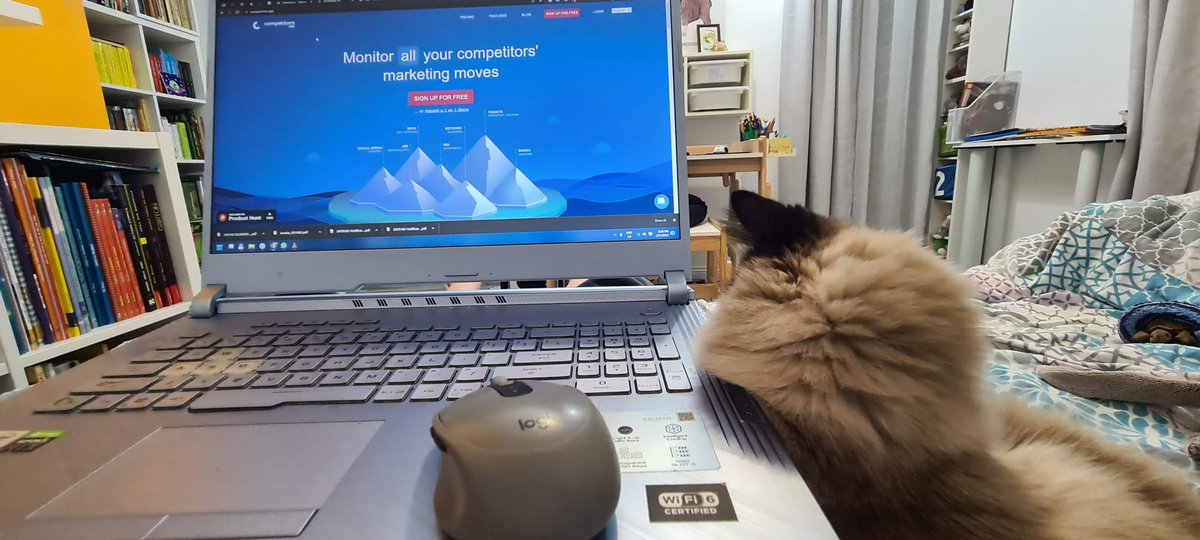 competitorsapp's tweet photo. Working on a Saturday night can be nice; the purrrrrfect setup.😀 https://t.co/mVK8VHeZ5u