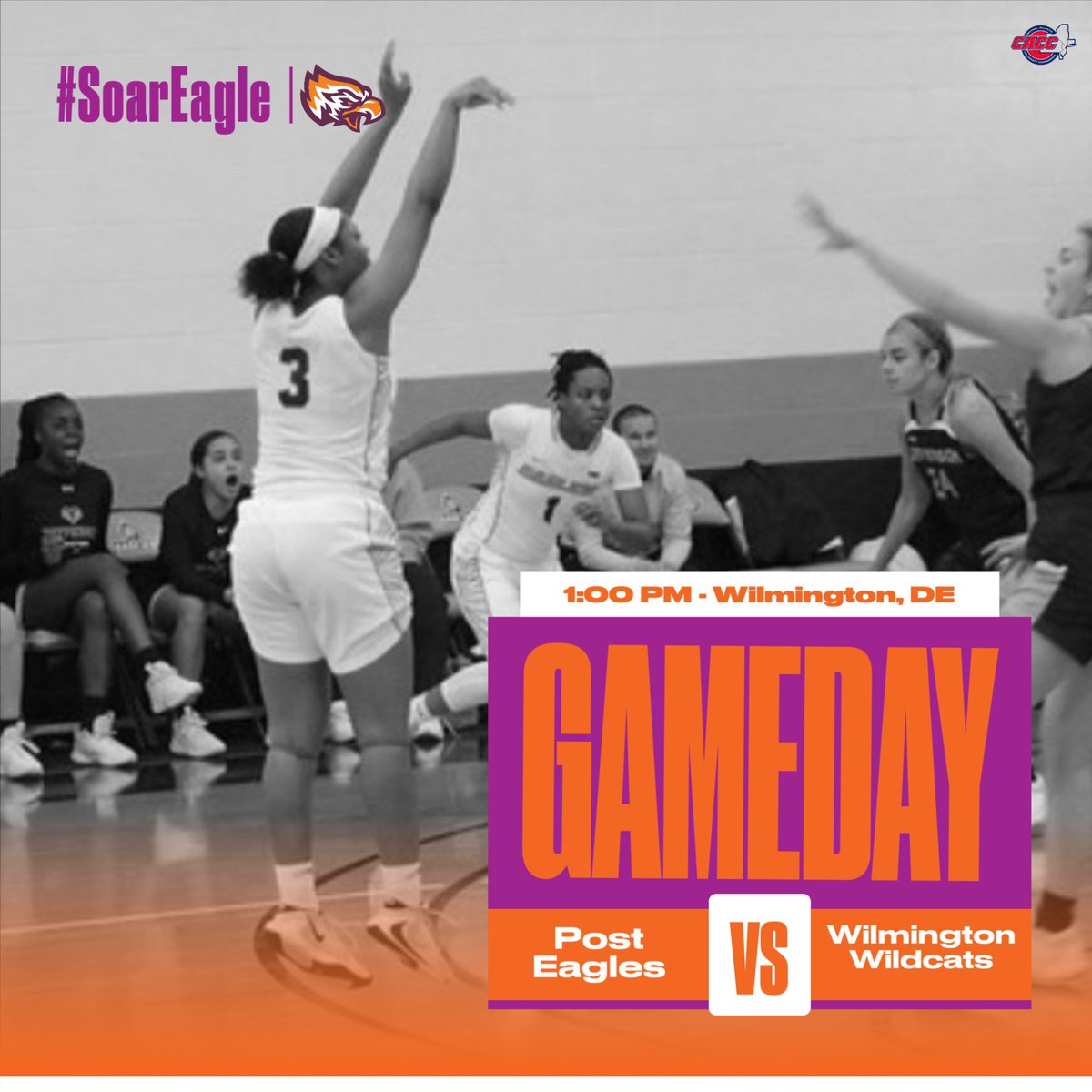 🚨‼️GAMEDAY ‼️🚨 

⏰ : 1:00 PM ET

🆚 : Wilmington Wildcats

📍 : Wilmington, DE 

📺 : caccnetwork.com/wilmington/?bf…

📊 : wildcats.athletics.wilmu.edu/sports/wbkb/20…

#PostU #PostWBB #PostPride #SoarEagle #OurTimeIsNow #GoEagles #CACC 
🦅🏀🦅🏀🦅🏀🦅🏀